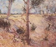 Vincent Van Gogh, Trees in a Field on a Sunny Day (nn04)